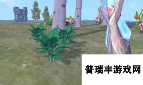 创造与魔法菠菜获得方法 可以做什么食物