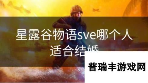 星露谷物语sve哪个人适合结婚