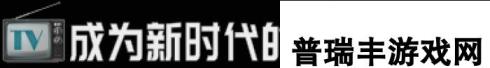 电视台模拟国有什么特色内容